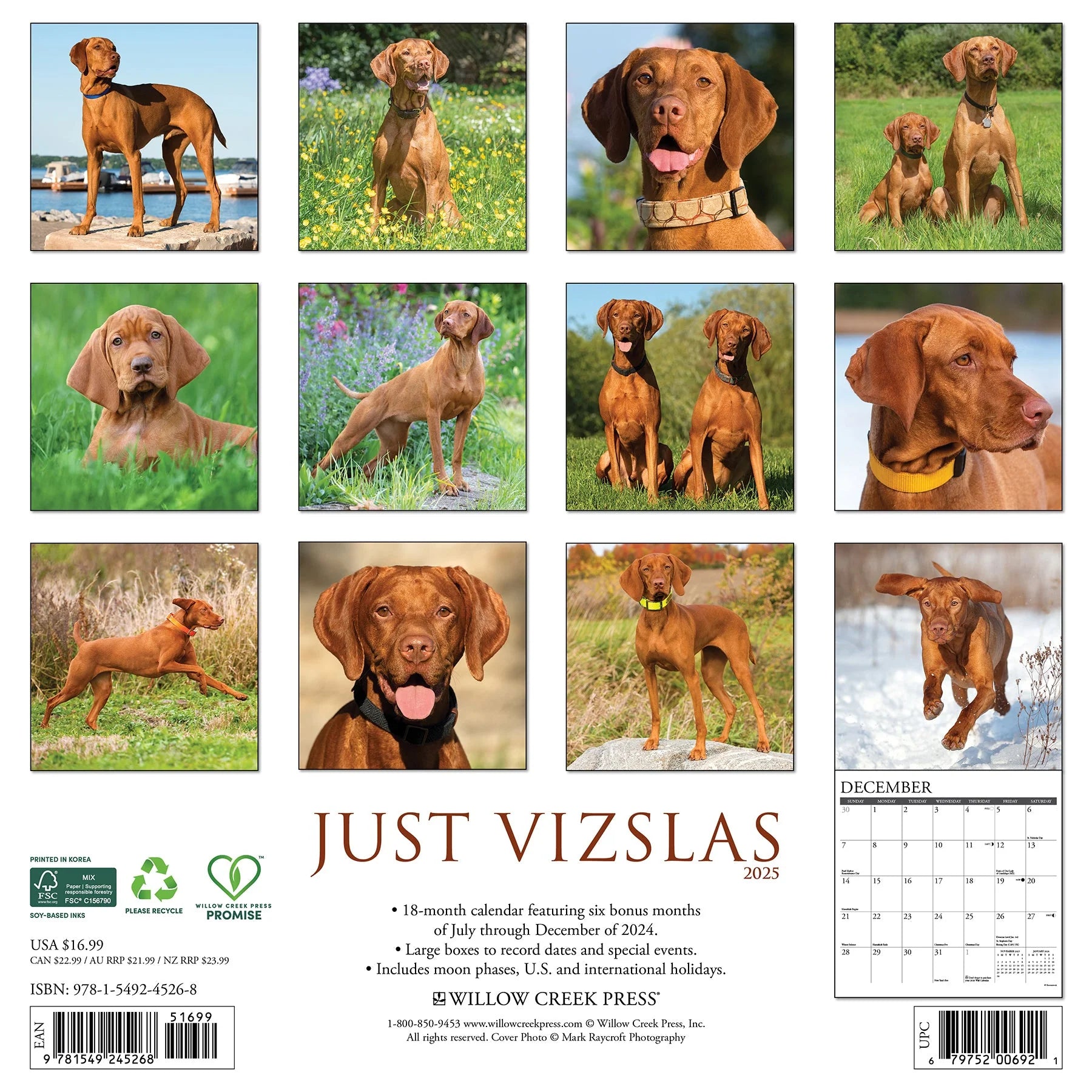 2025 Vizslas Calendar