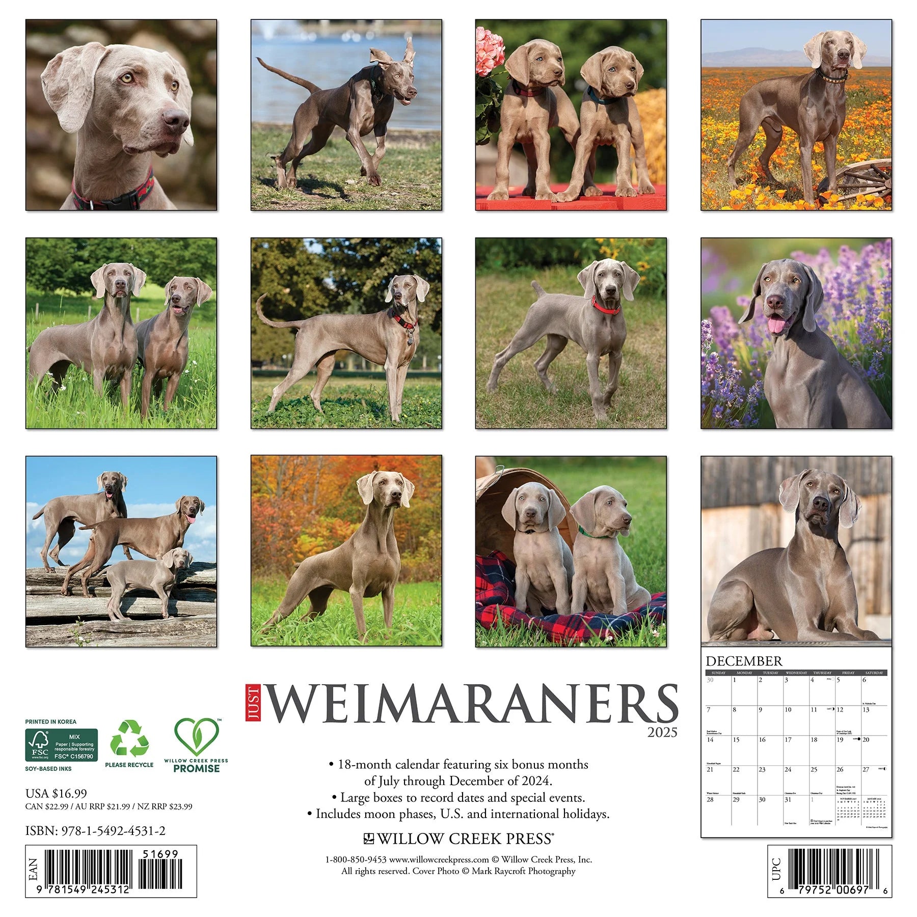 2025 Weimaraners Calendar