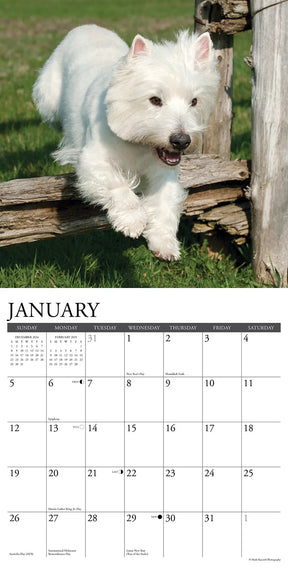 2025 Westies Calendar