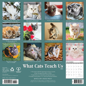 2025 What Cats Teach Us Calendar