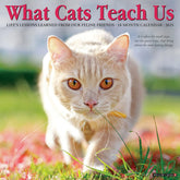 2025 What Cats Teach Us Calendar