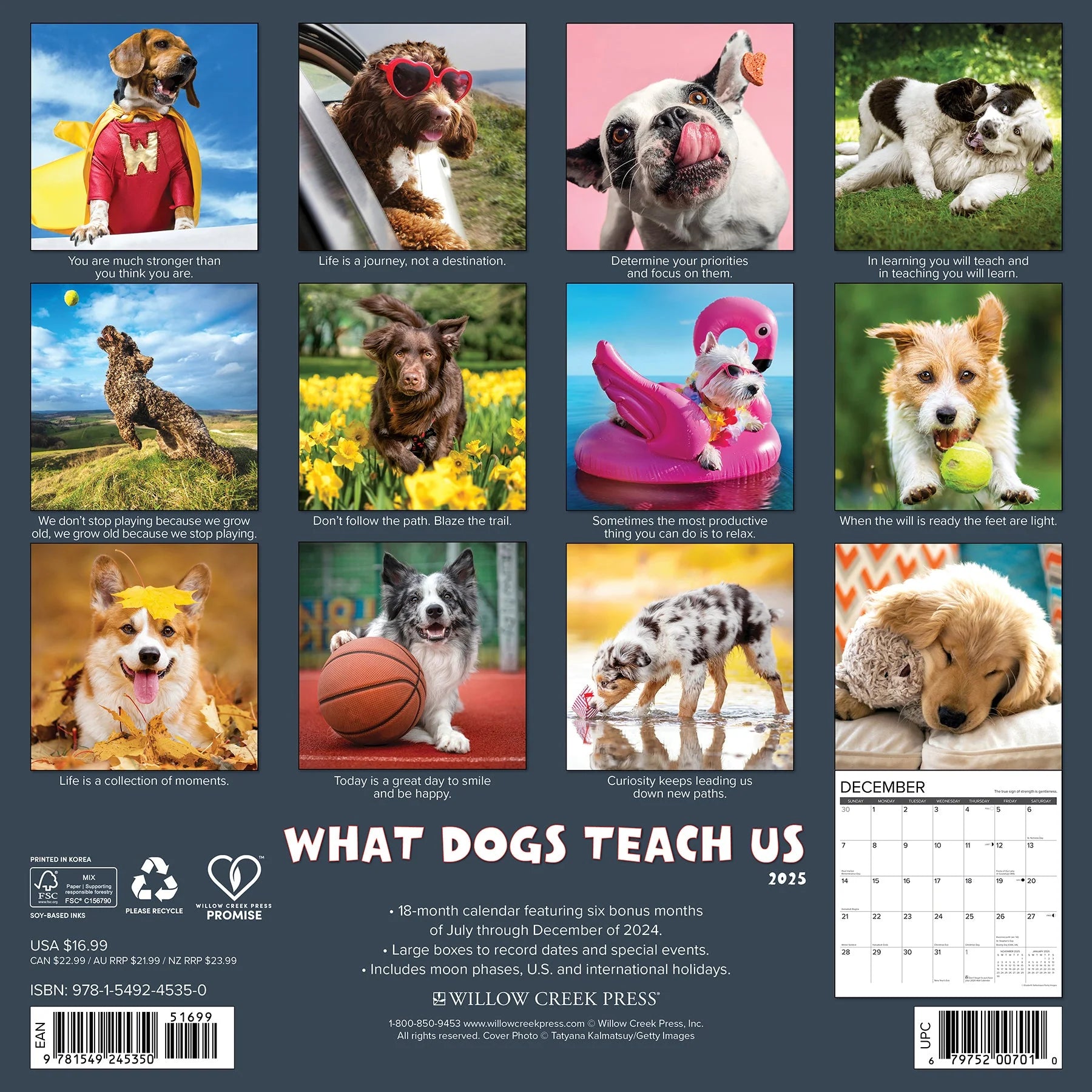 2025 What Dogs Teach Us Calendar