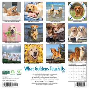 2025 What Goldens Teach Us Calendar