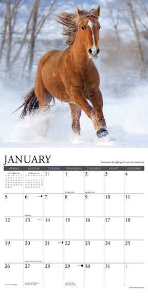 2025 What Horses Teach Us Calendar