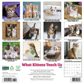 2025 What Kittens Teach Us Calendar