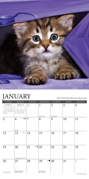 2025 What Kittens Teach Us Calendar