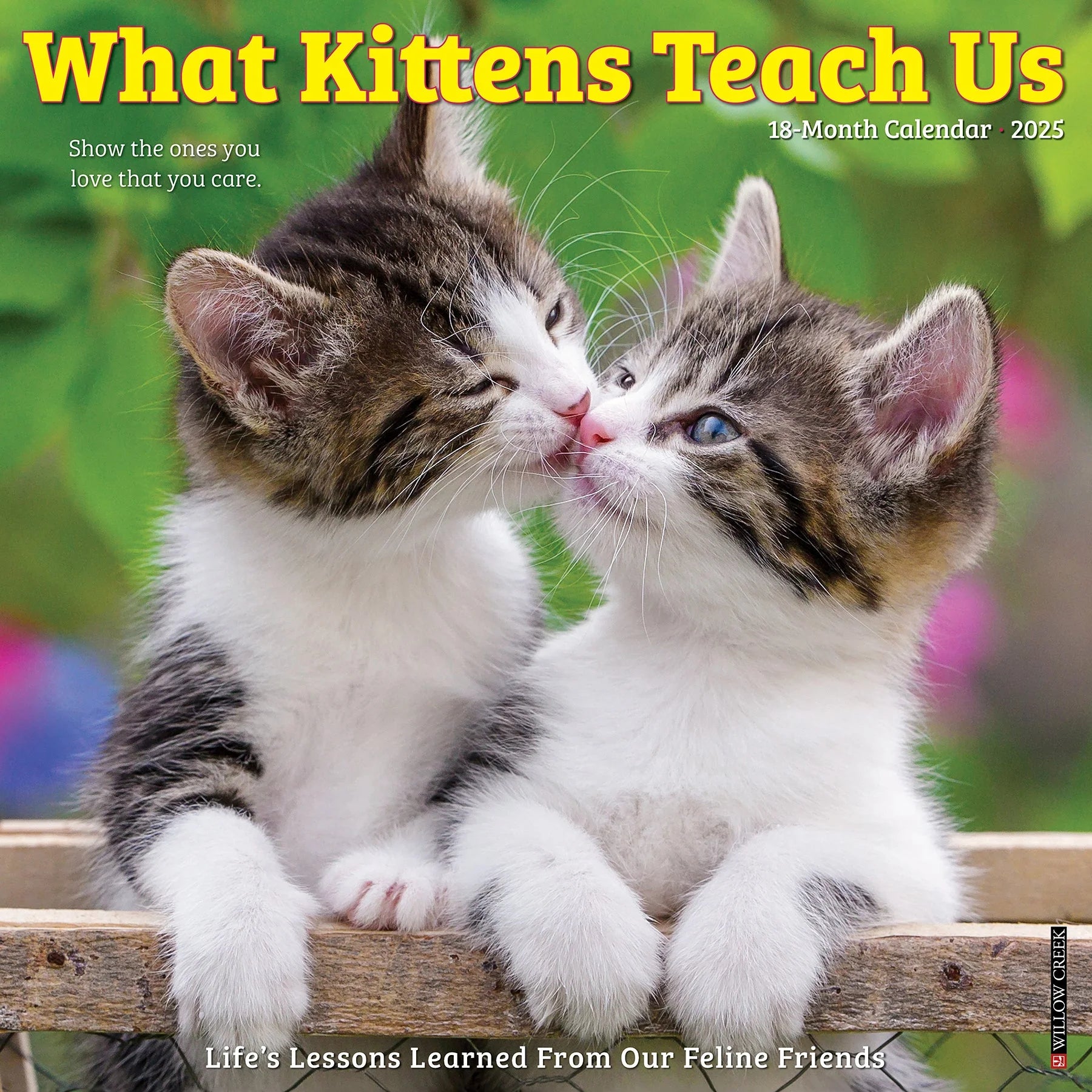 2025 What Kittens Teach Us Calendar