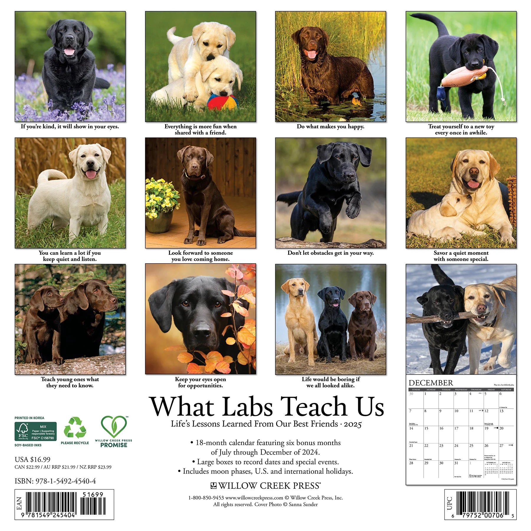 2025 What Labs Teach Us Calendar