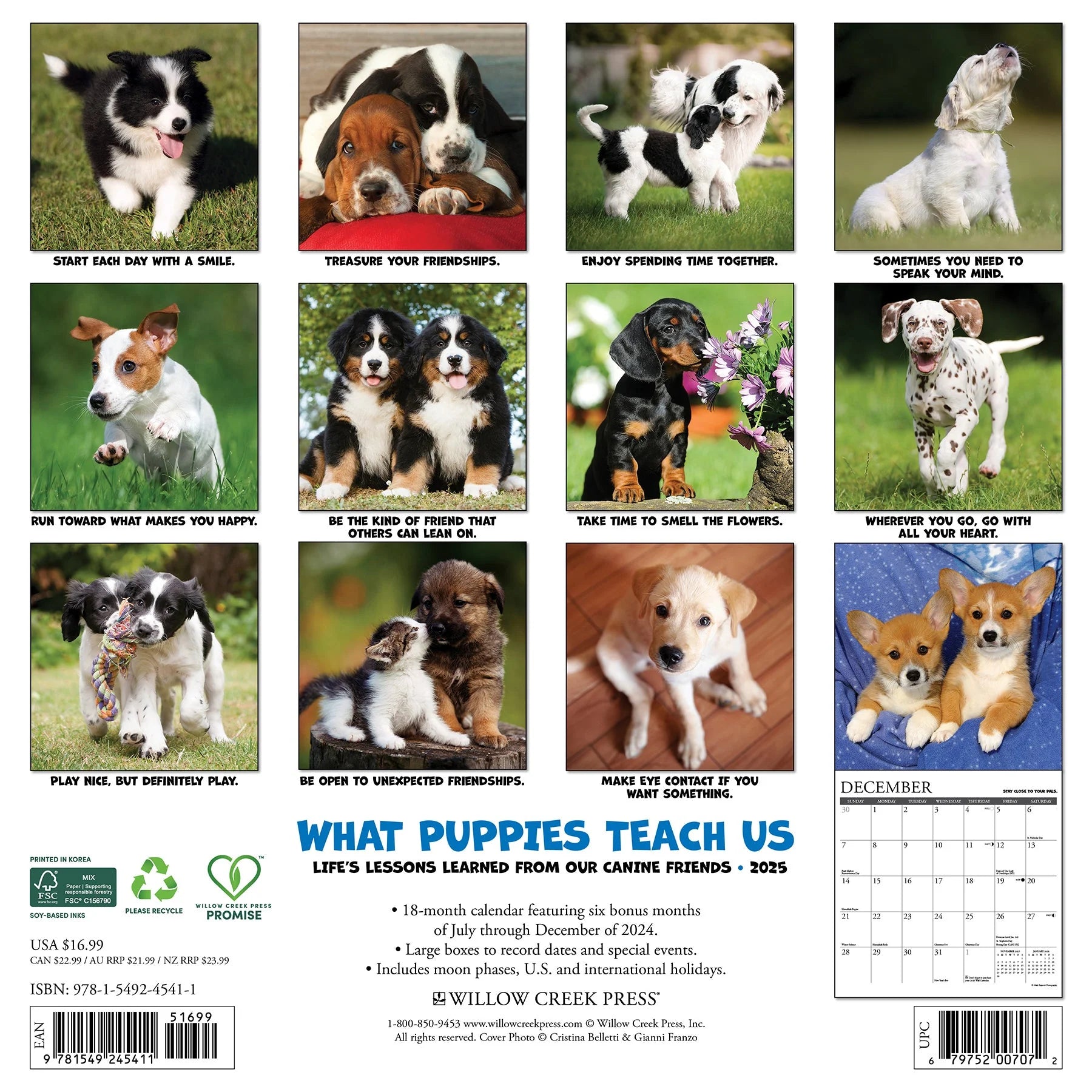 2025 What Puppies Teach Us Calendar