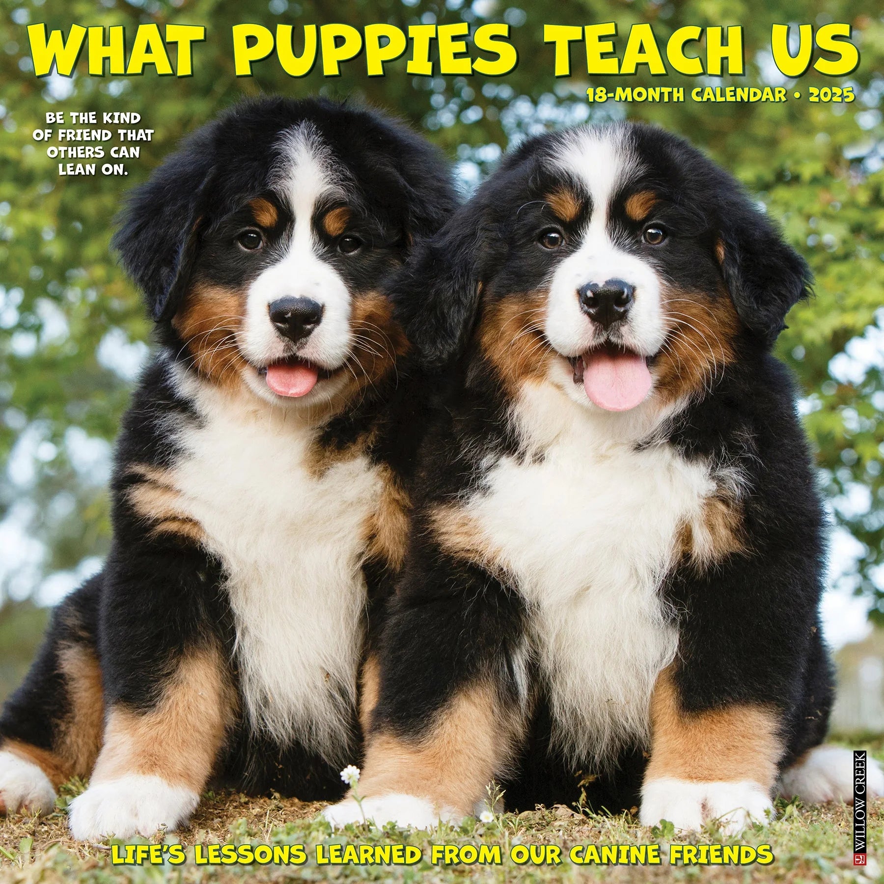 2025 What Puppies Teach Us Calendar