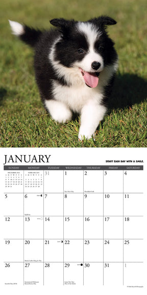 2025 What Puppies Teach Us Calendar