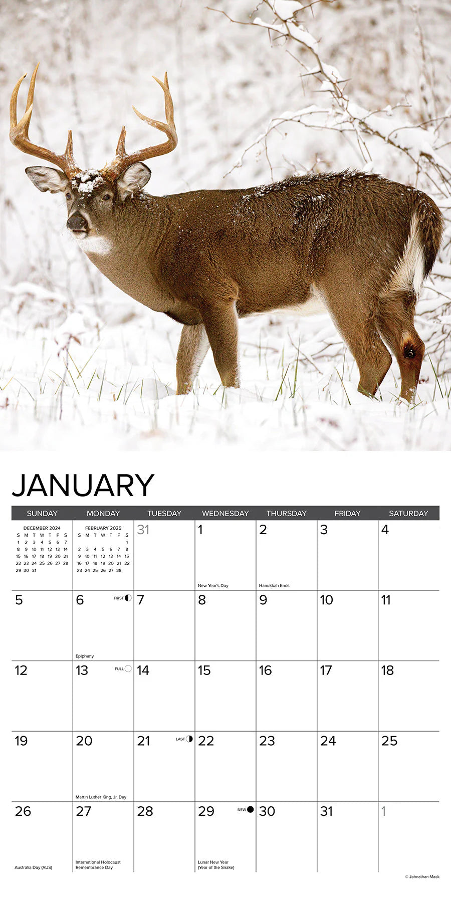 2025 Whitetailed Monarchs Deer Calendar