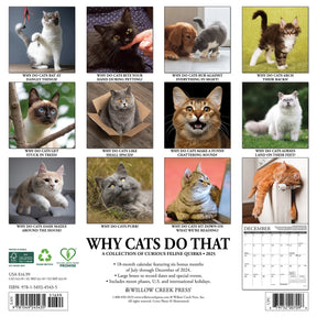 2025 Why Cats Do That Calendar