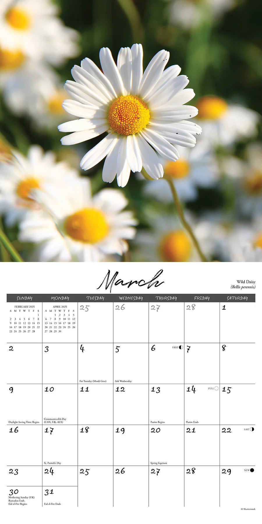 2025 Wildflowers Calendar