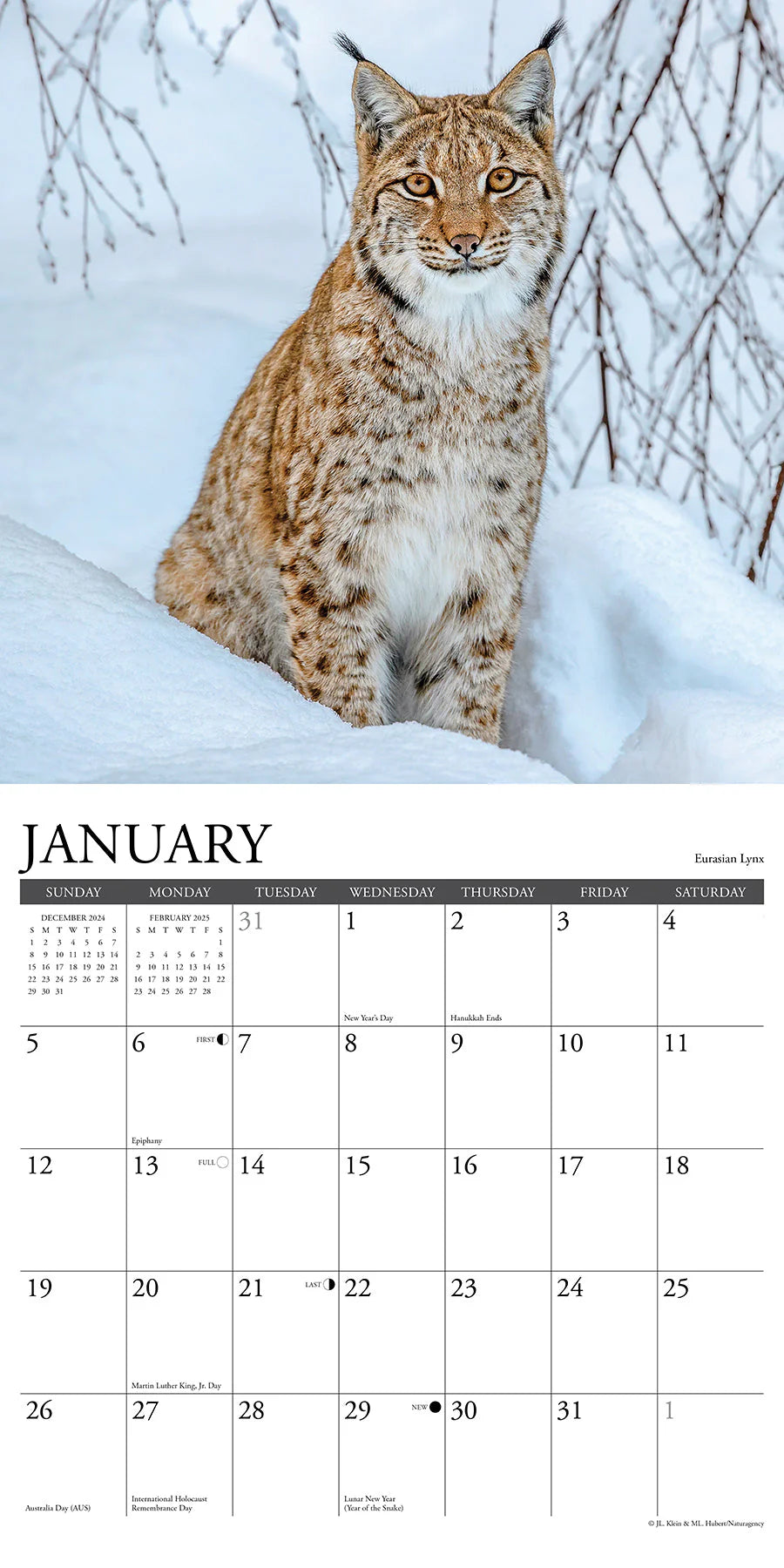 2025 Wildlife Calendar