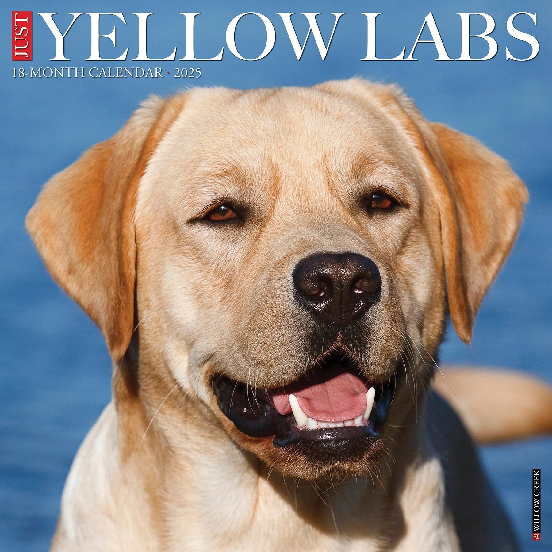 2025 Yellow Labs Calendar