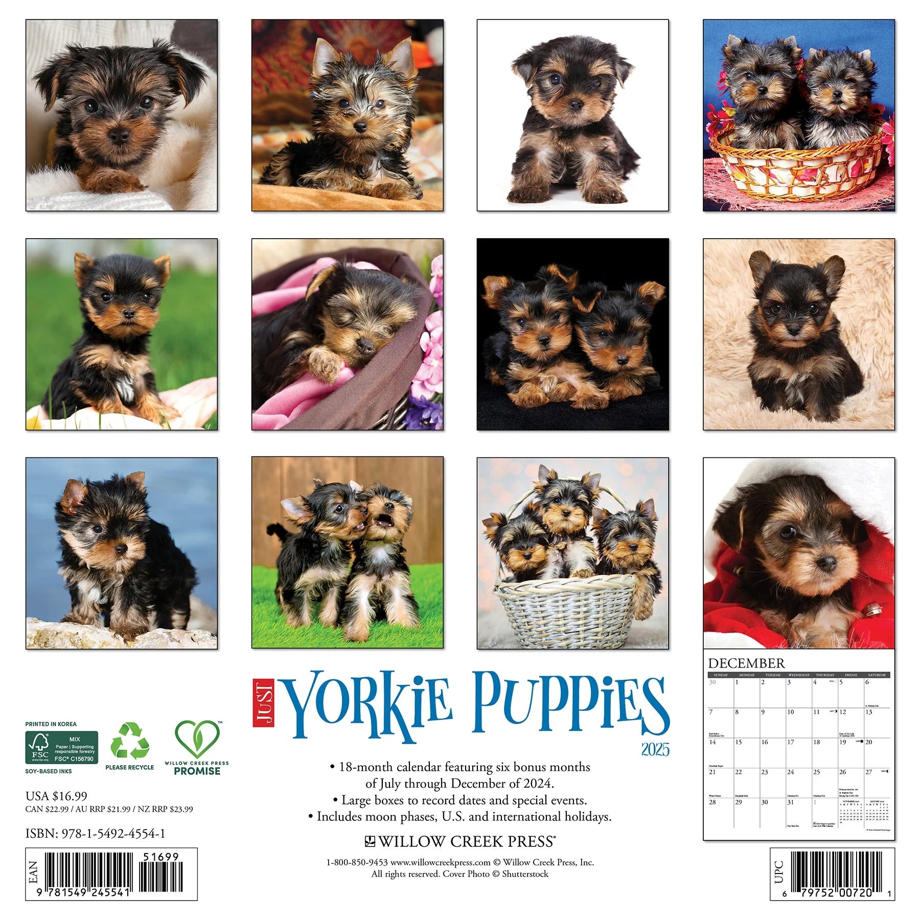 2025 Yorkie Puppies Calendar