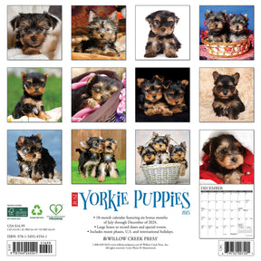 2025 Yorkie Puppies Calendar