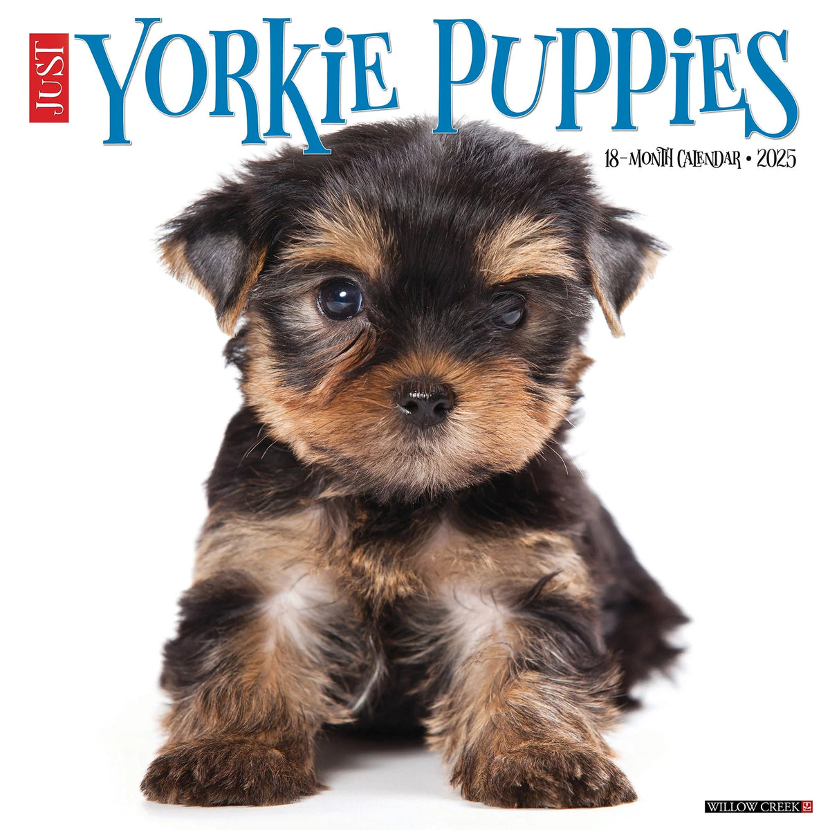 2025 Yorkie Puppies Calendar