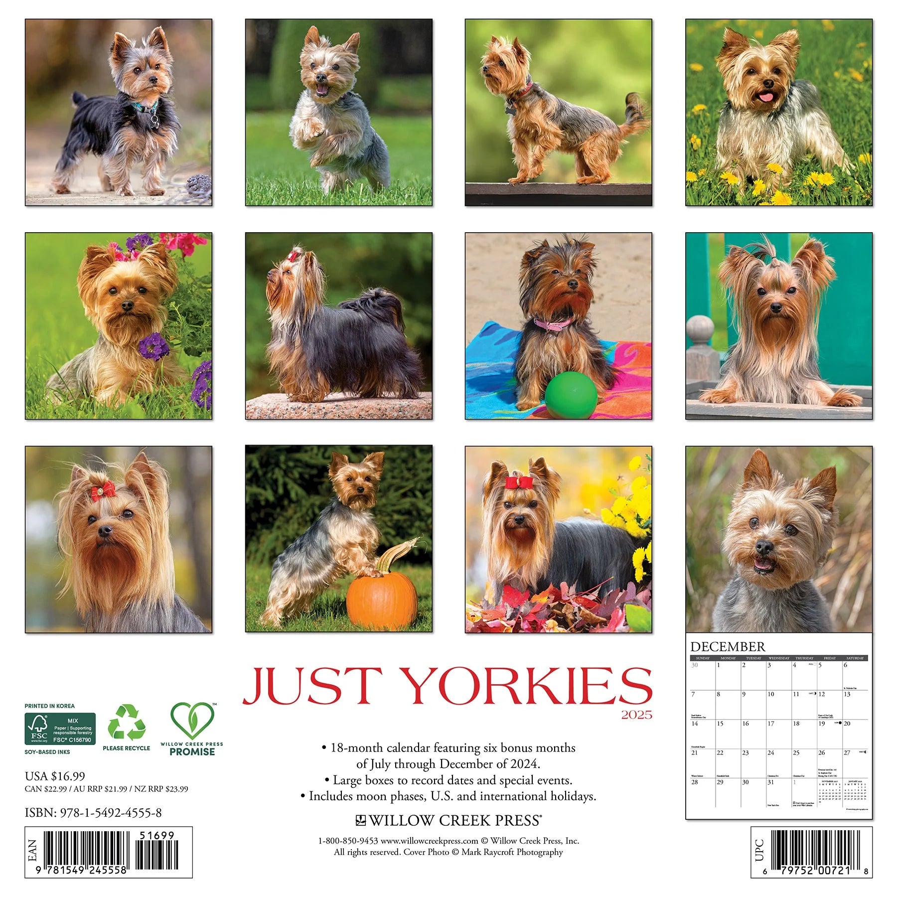 2025 Yorkies Calendar