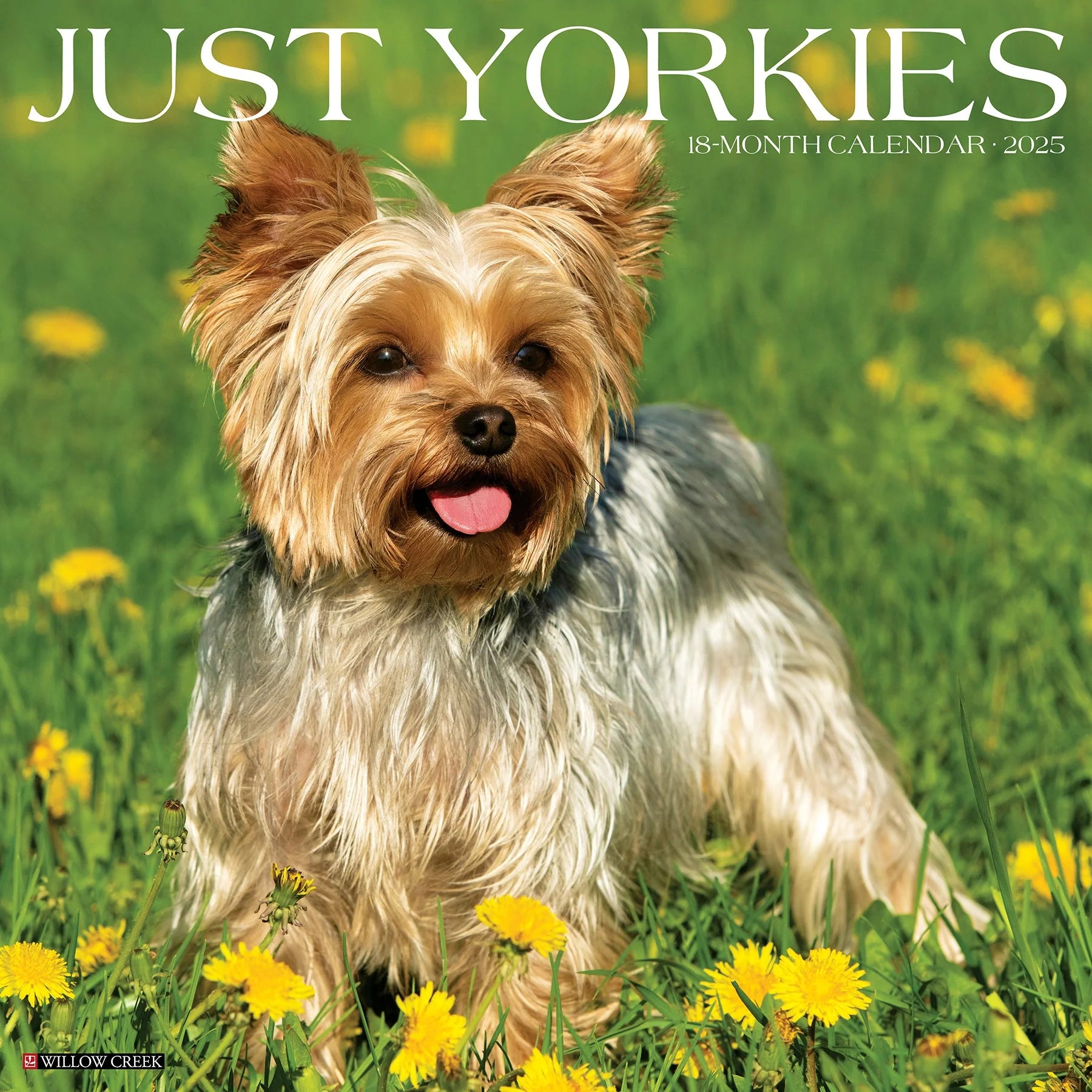 2025 Yorkies Calendar