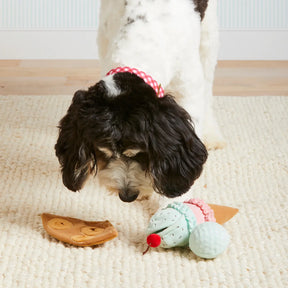 Ice Cream Dog Toy