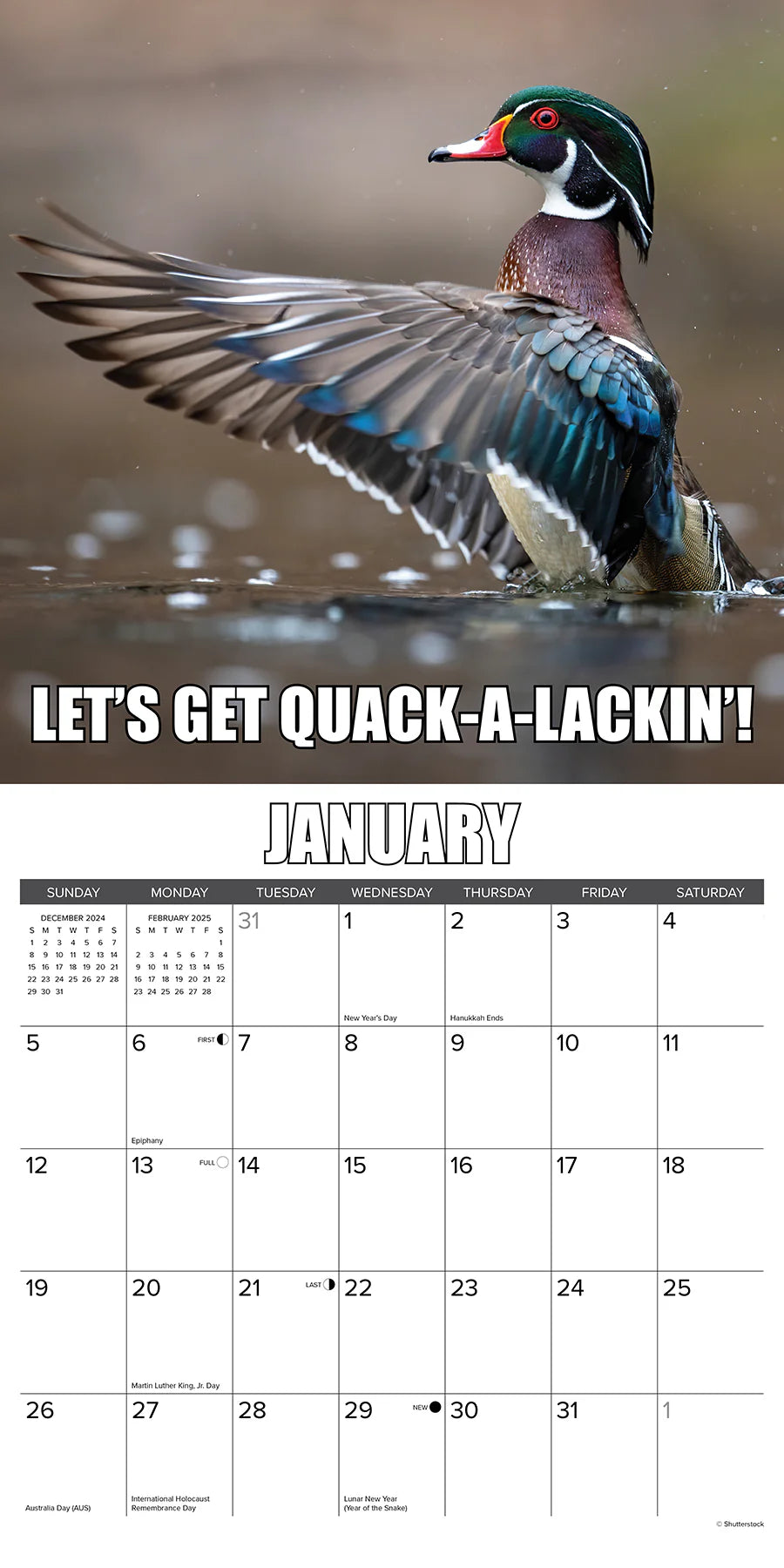 2025 Wise Quacking Calendar