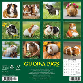 2025 Guinea Pigs Calendar