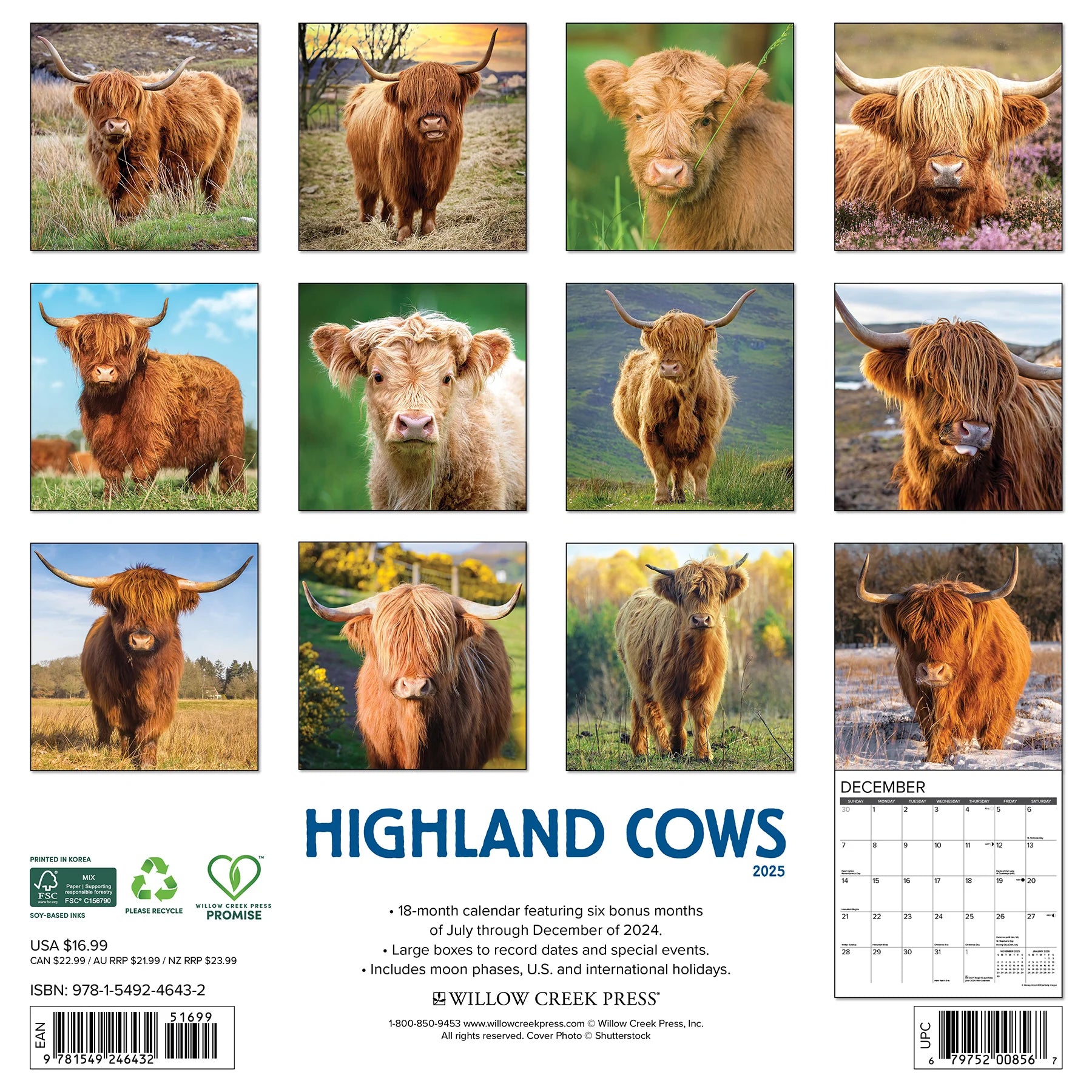 2025 Highland Cows Calendar