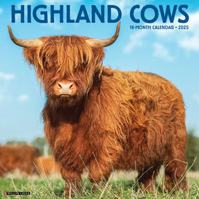 2025 Highland Cows Calendar