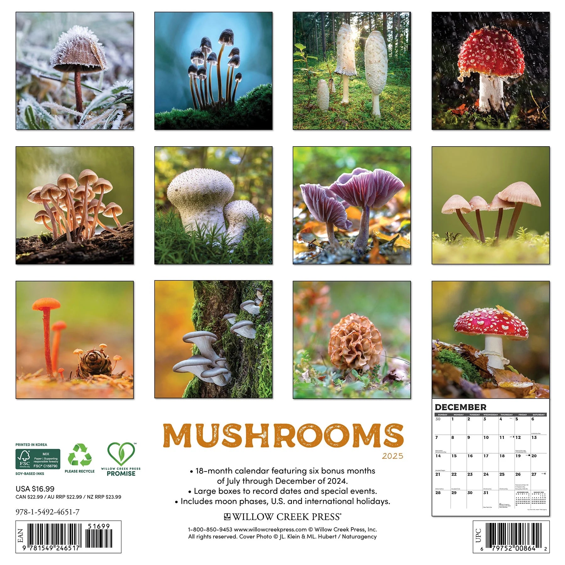 2025 Mushrooms Calendar