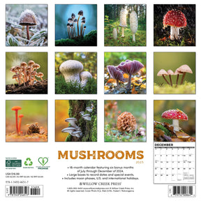 2025 Mushrooms Calendar