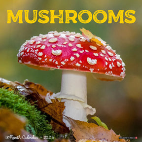 2025 Mushrooms Calendar