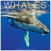 2025 Whales Calendar