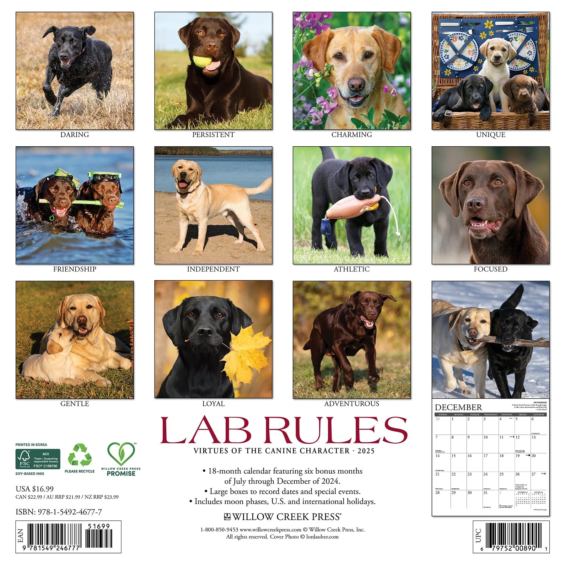 2025 Lab Rules Calendar