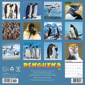 2025 Penguins Calendar