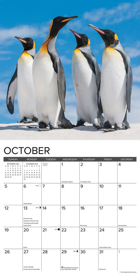 2025 Penguins Calendar