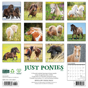 2025 Ponies Calendar