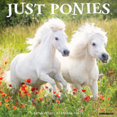 2025 Ponies Calendar