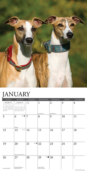 2025 Whippets Calendar