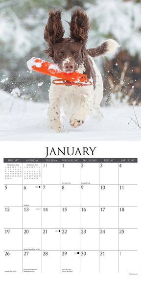 2025 Sporting Dogs Calendar