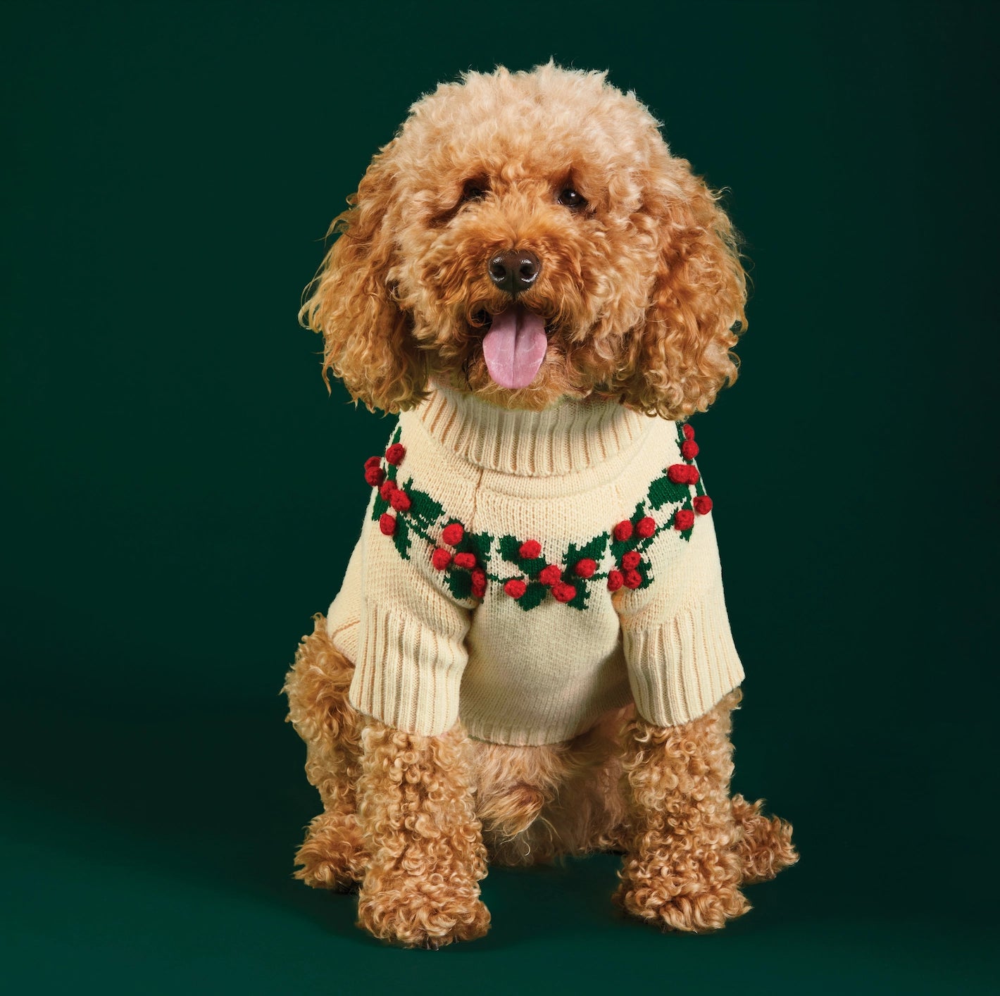 Dog Sweater Holly Bobble