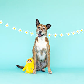 Petshop by Fringe Studio - Dog Toy Chicks Dig It