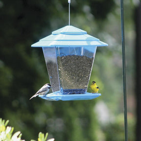 More Birds - Square Hopper Bird Feeder