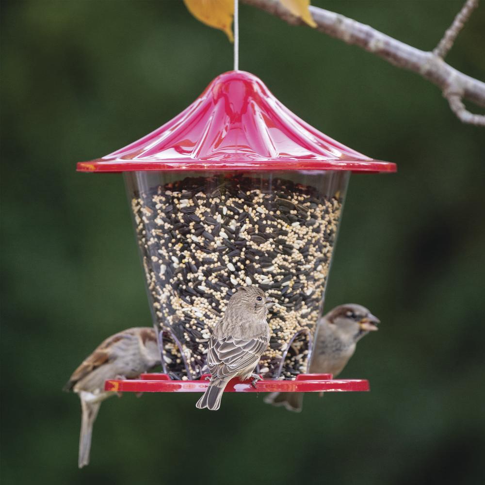 More Birds - Round Hopper Bird Feeder