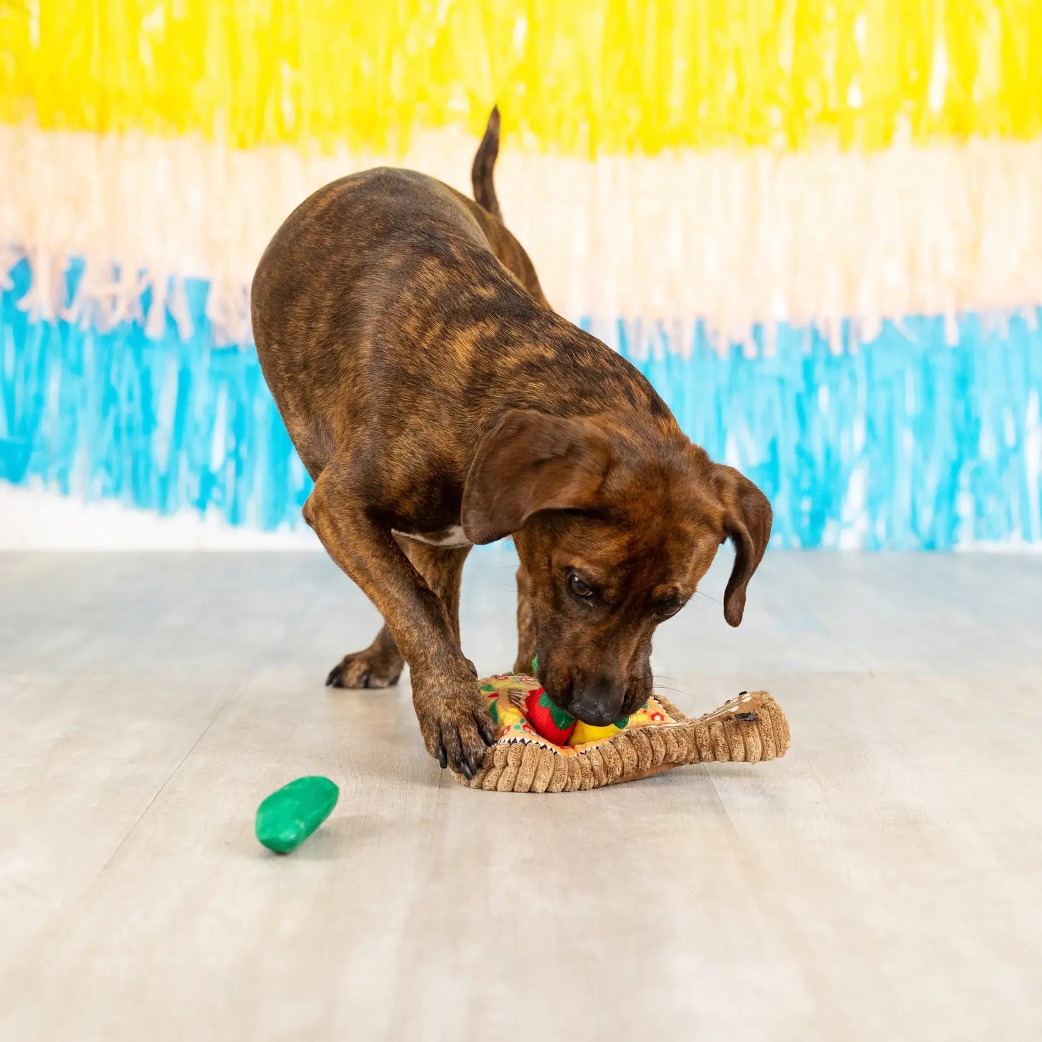 Petshop by Fringe Studio - Fiesta Till You Siesta Dog Toy