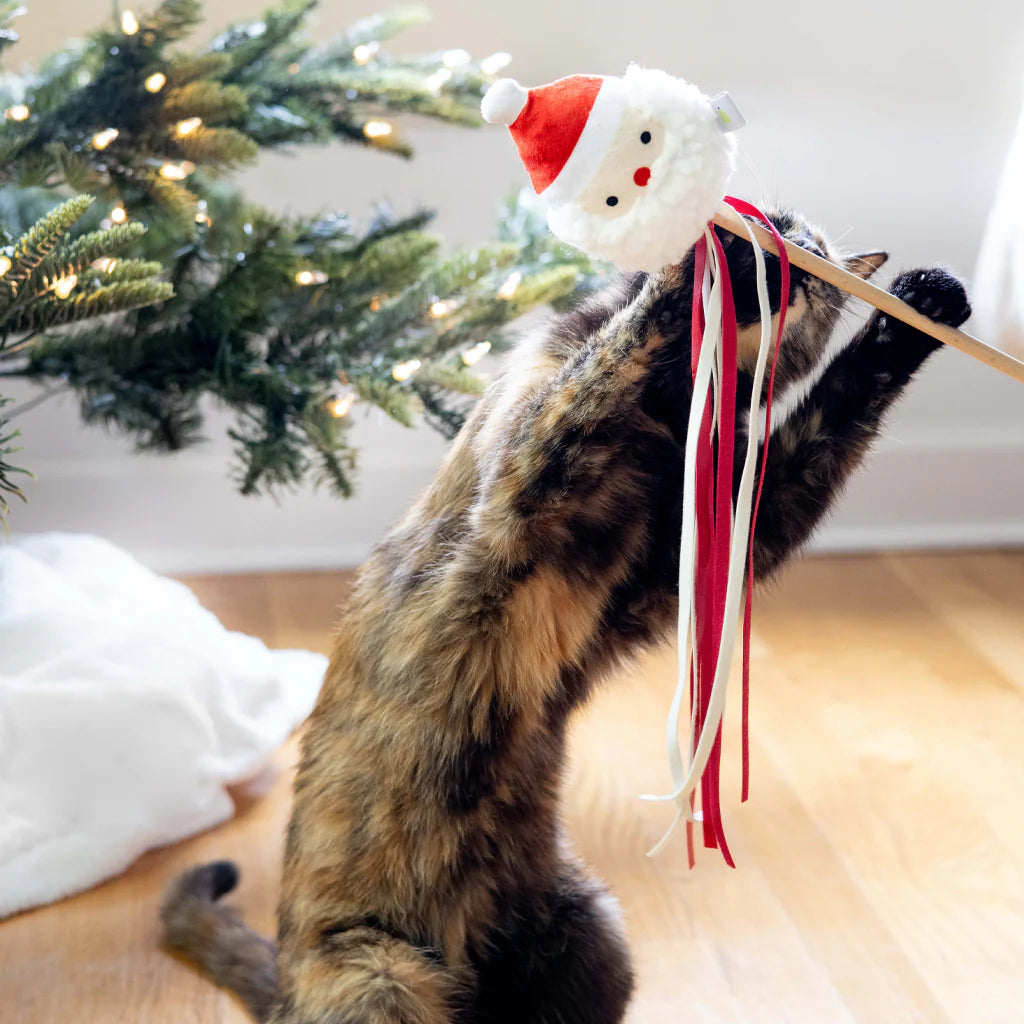 Holiday Santa Head Teaser Cat Toy