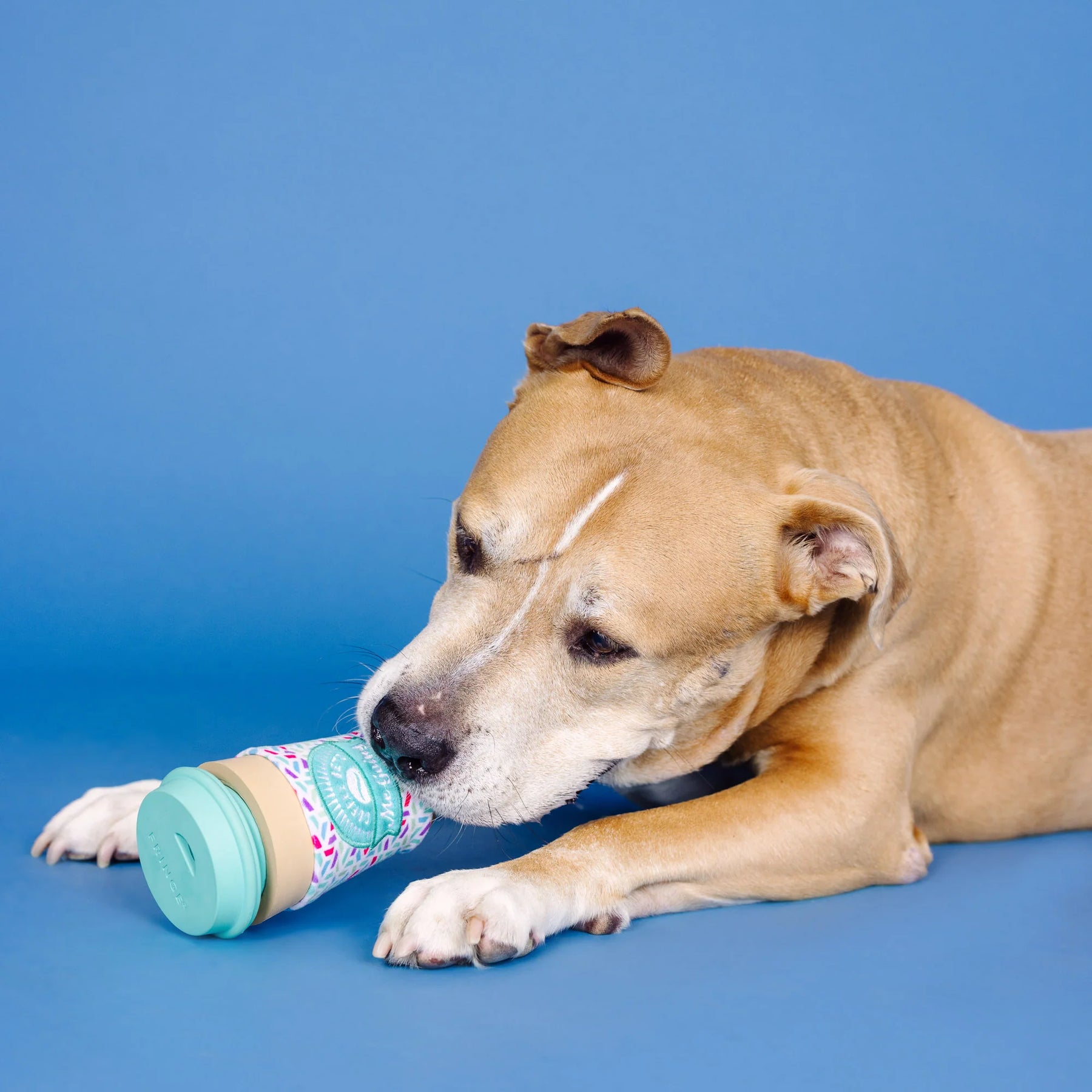 Petshop by Fringe Studio -Dog Toy Coffee Gets Me Going