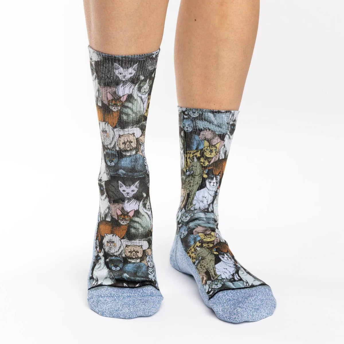 Good Luck Sock - Socks Social Cats