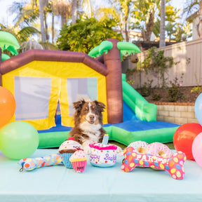 Huxley & Kent - Party Time Bone Blue for Dogs